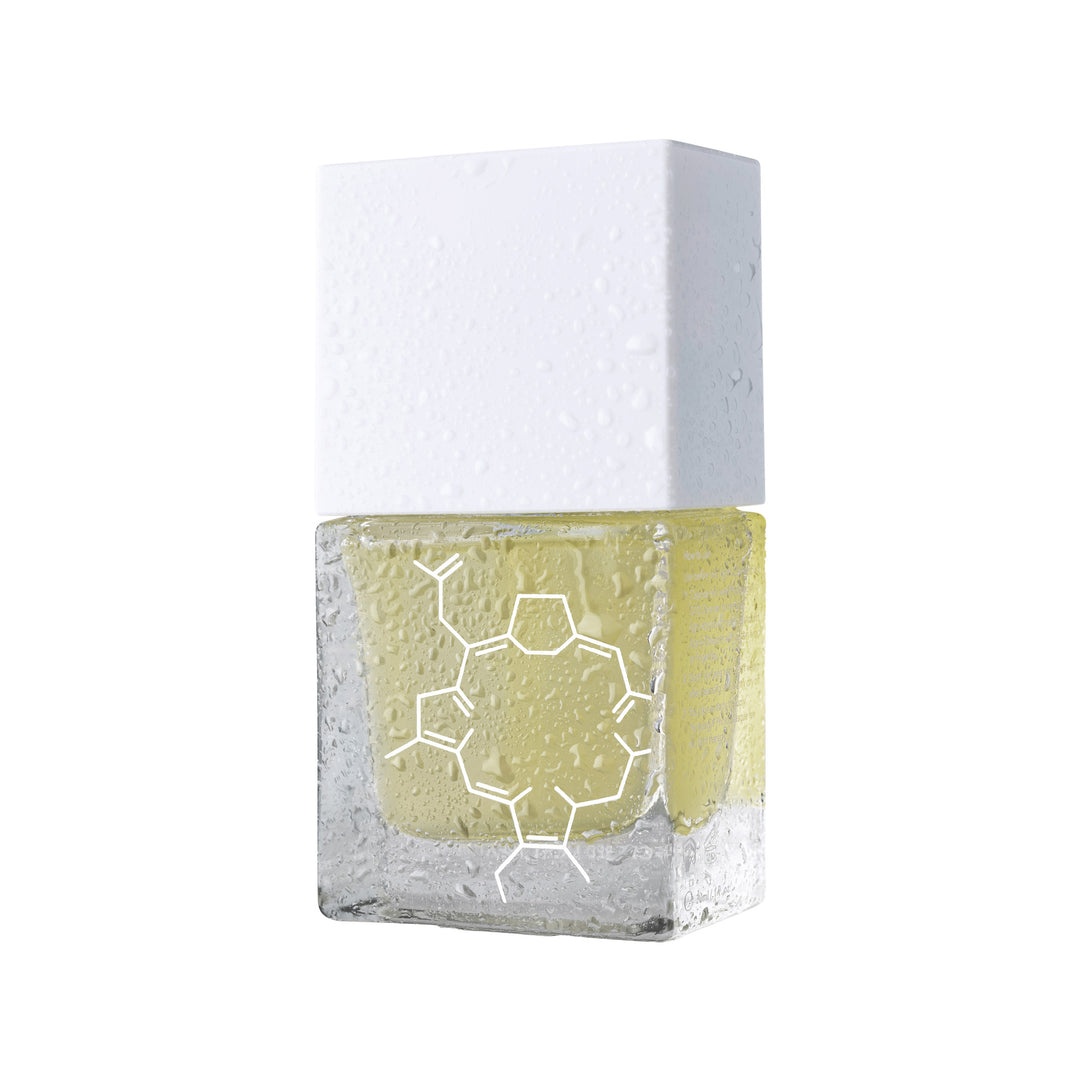 Photology Q10 Pre-treatment Phyto Cleanser | Step One | 30ml